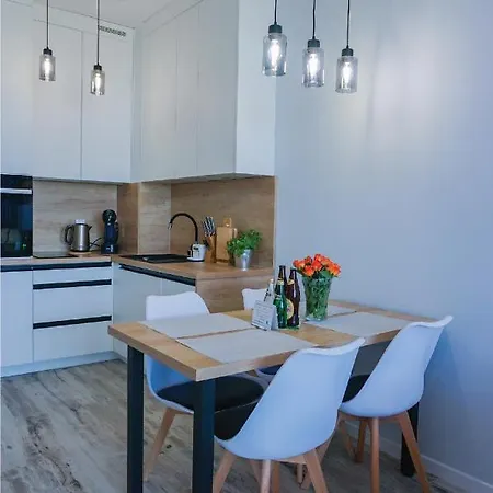 Pod Brzozami Ku Morzu Apartment *