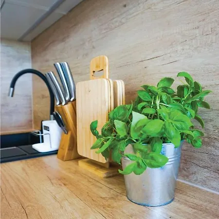 Pod Brzozami Ku Morzu Apartment Sianożęty