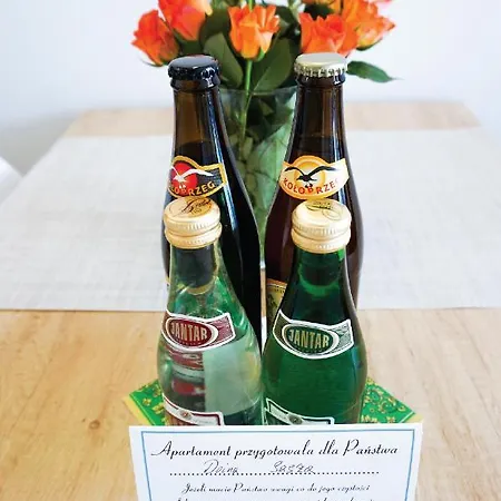 Apartment Pod Brzozami Ku Morzu