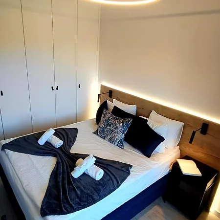 Daire Pod Brzozami Ku Morzu *