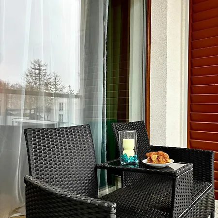 Daire Pod Brzozami Ku Morzu *