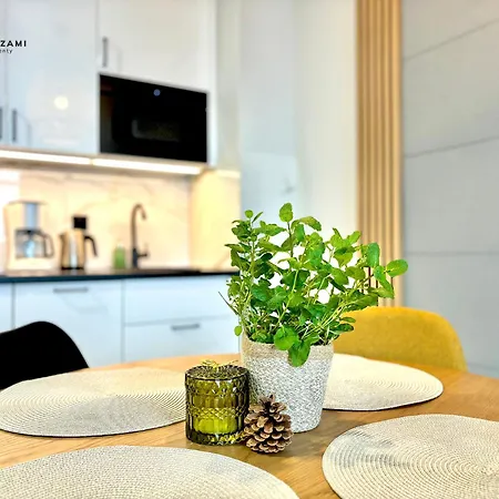 Pod Brzozami Ku Morzu Apartment *