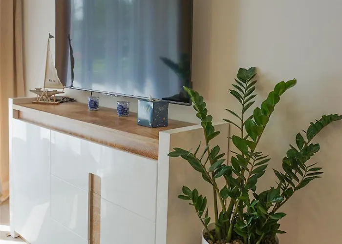 Pod Brzozami Ku Morzu *